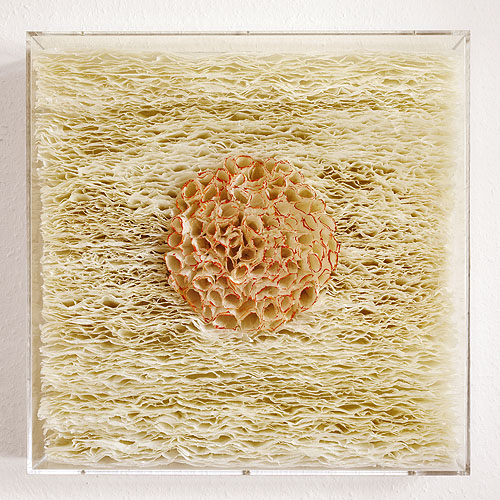 Klicken f�r die n�chste Abbildung