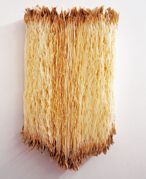 Klicken f�r die n�chste Abbildung